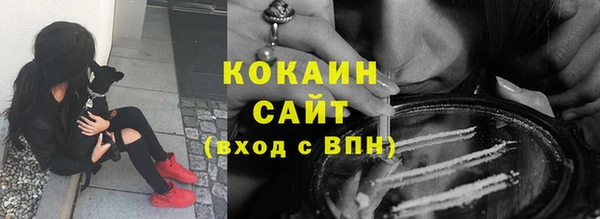 твердый Бронницы