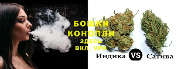 ешки Бородино